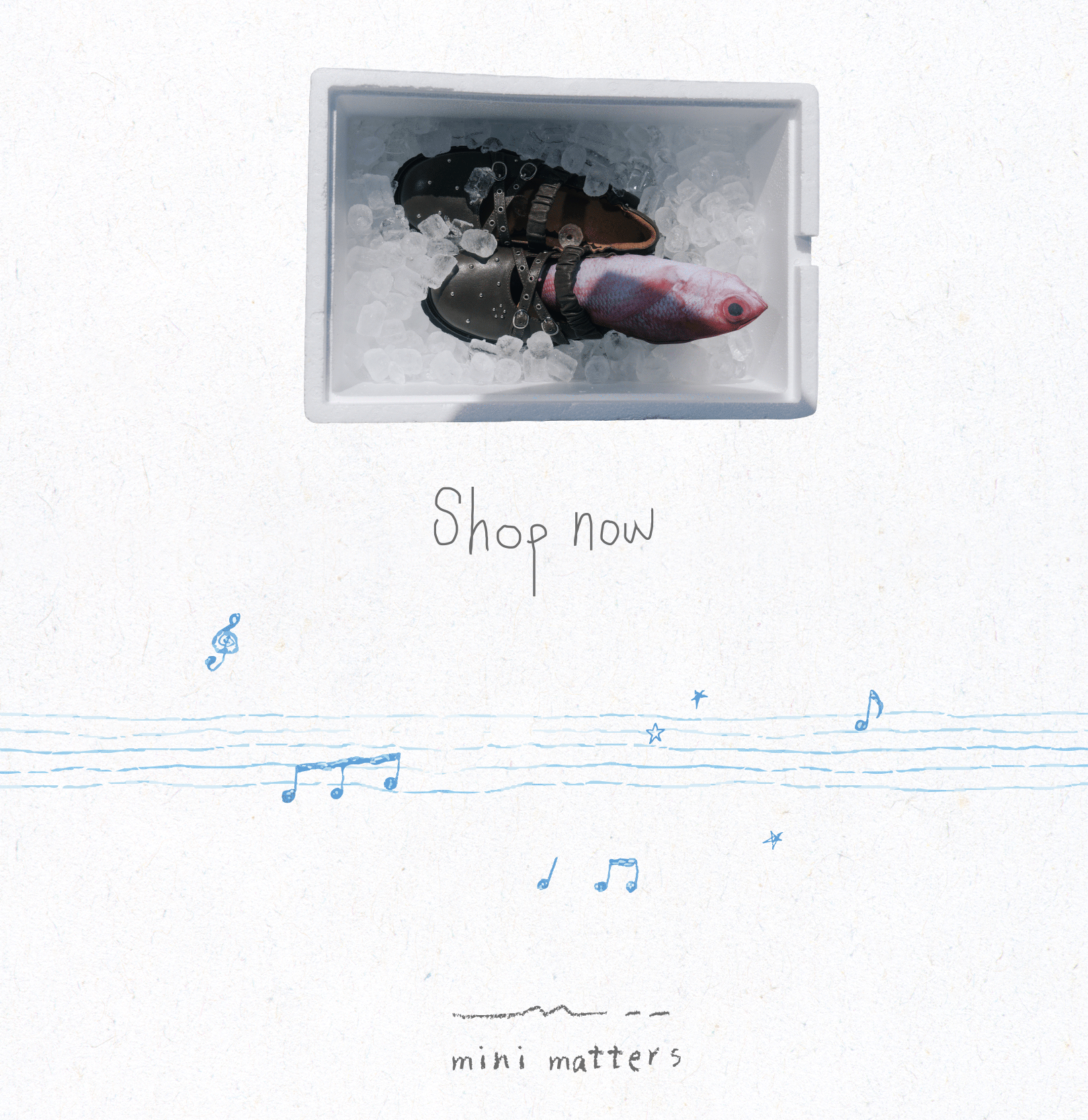 shopnow
